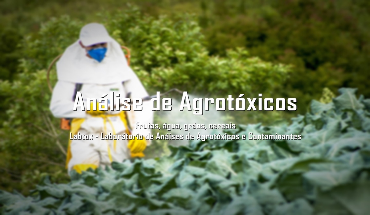Capao Bonito, Sao Paulo, Brazil, December 18, 2009. Farmer with manual pesticide sprayer on cabbage field in Sao Paulo state